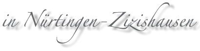 in Nürtingen-Zizishausen